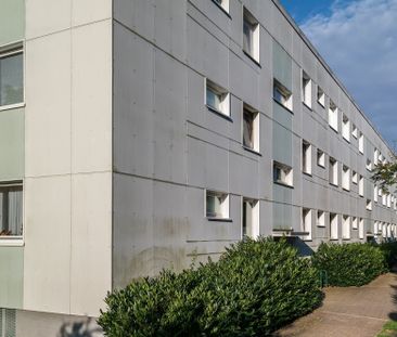 Lichtdurchflutetes Wohnen in Detmerode: 3-Zimmer-Wohnung - Foto 1