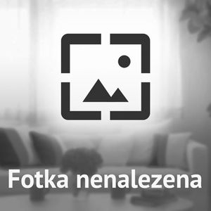Pronájem bytu pokoj 16 m2 - Fotografie 2