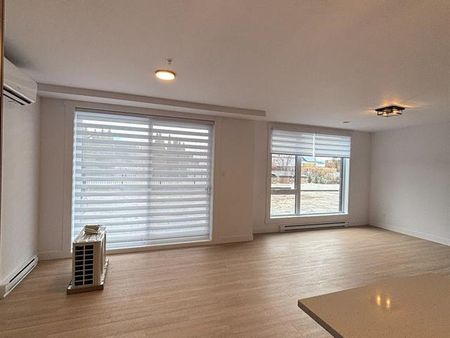 430 Boul. du Bord de l'Eau - Photo 3