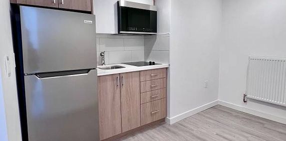 $1695 - BASEMENT STUDIO FOR RENT - PARKDALE - Photo 2