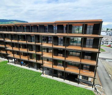 Atelier-Wohnung im suburbanen Schweighofquartier - Photo 3