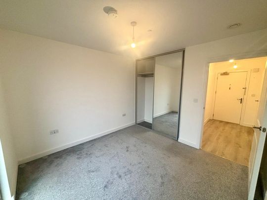 Erasmus Drive - Photo 1