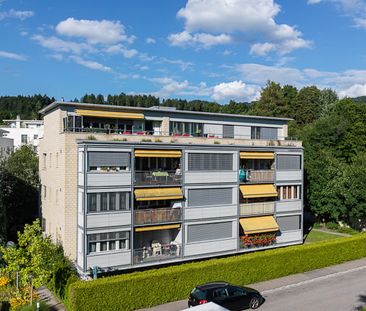 "Über den Dächern von Hinwil" - Foto 6