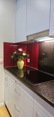 2.5 Zimmer, 63 m², 1. Stock - Foto 1