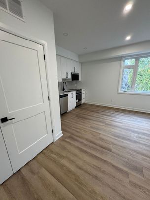 123 Harvey St #1, Ottawa, ON K1S 0A8 - Photo 1