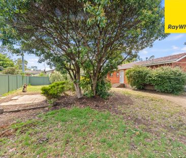 18 Ogilby Crescent, Page ACT 2614 - House For Rent | Domain - Photo 6