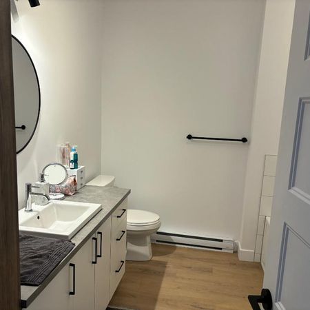 Appartement 4 1/2 Secteur paisible à 5 mins des services St-Hyacinthe à louer - Photo 3