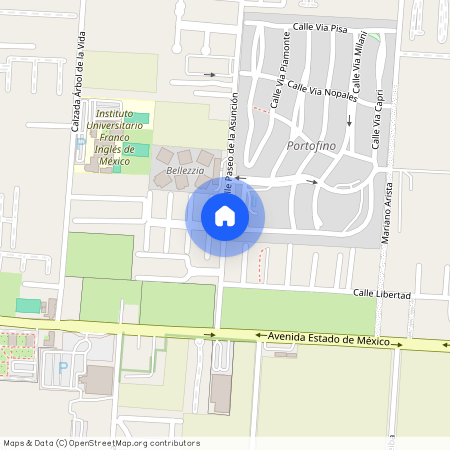 Paseo de la Asunción, Nueva San Luis, San Salvador Tizatlalli, Metepec, México, 52172, MEX