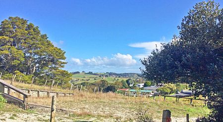 A NEW HOME FOR CHRISTMAS. - Photo 3