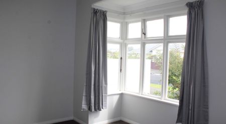 Family Home on Douglas Street - Photo 3