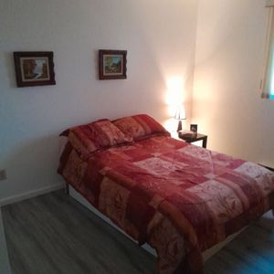 3 Bedrooms-semi-furnished - 3 Chambres - Photo 3