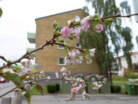 Norra Järnvägsgatan 8 A - Foto 5