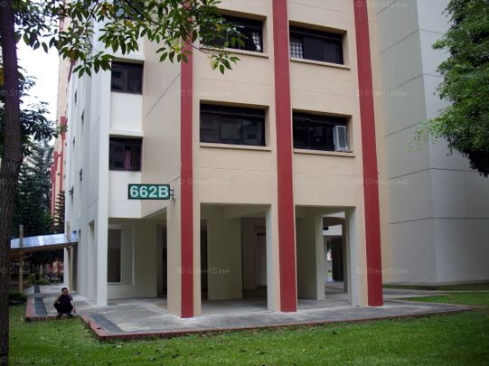 Blk 662B Jurong West Street 64 (Jurong West), HDB 4 Rooms - For Rent - Photo 1