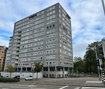 Pompenburg - Photo 4