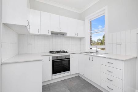 Another Successful Result by David Ibanez - Photo 4