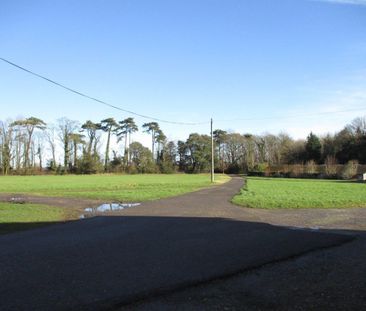 The Kennels, Waldershare Park, Waldershare - Photo 6