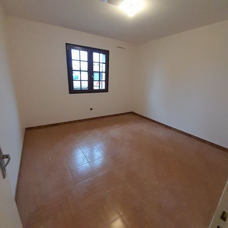 Location maison 4 pièces, 105.69m², Jouy-le-Potier - Photo 4