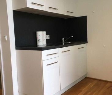 1 Zimmer-Wohnung (22 m²) mit WLAN – Frankfurt 60314 - Foto 4