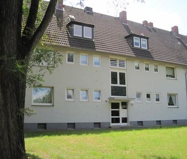 Reinkommen und Wohlfühlen: nette 3-Zi.-Wohnung ohne Balkon - Photo 1