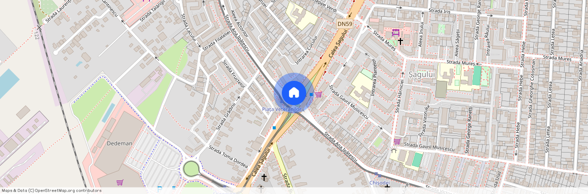 Strada Ana Ipatescu, Calea Sagului, Timisoara, Timis
