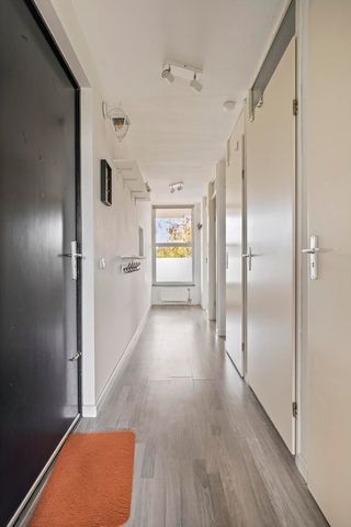 Voorjaarstraat - Foto 3