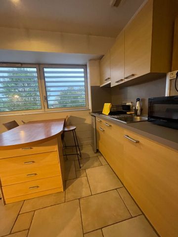 Location Appartement 1 pièce 28m² - Photo 3