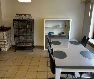 Appartement te huur in Sint-Gillis-Dendermonde - Foto 4