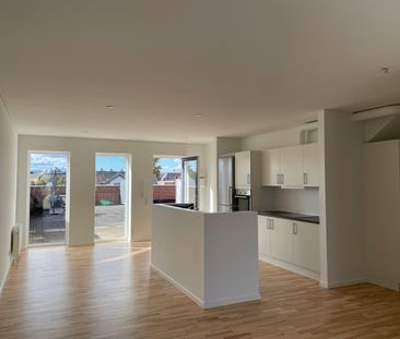 Stor 1. værelses med tagterrasse - Photo 2