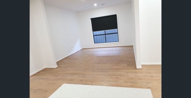 Immaculate and So Close To Everything! - Photo 1