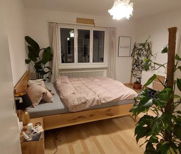 2.5 Zimmer, 52 m², 5. Stock - Photo 3