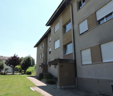 Wohnglück auf 2.5 Zimmern ideal für Singles & Paare! - Photo 5