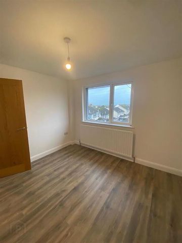 35 Pegasus Walk, Downpatrick, BT30 6QJ - Photo 4