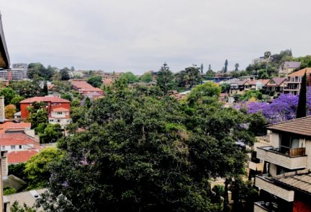 233 Alison Road,Randwick,New South Wales 2031, Sydney - Photo 4