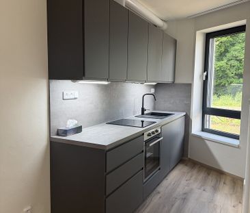 Pronájem bytu 2+kk 54 m² - Fotografie 5