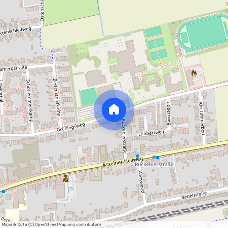 Grüningsweg, 44319 Dortmund - Asseln