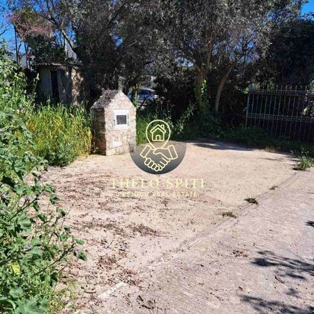 Διαμέρισμα για ενοικίαση Αγία Τριάδα - Κουλιδάς (Μαρκόπουλο) - Φωτογραφία 3