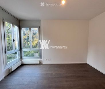 LUGANO: ELEGANTE APPARTAMENTO VISTA LAGO E MONTE BRÈ - Foto 3