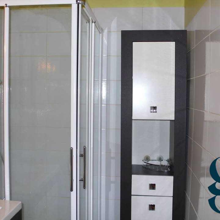 Location Appartement 1 pièce 36m² GRENOBLE 38000 - Photo 1