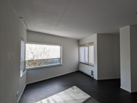 Grastapijt - Photo 3