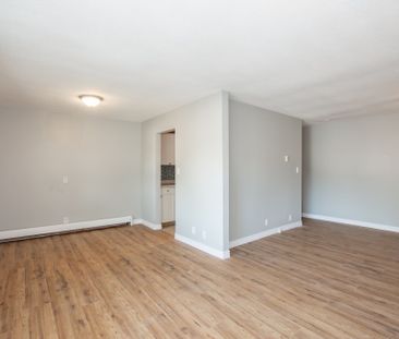 ** ALL INCLUSIVE ** 2 Bedroom Main Unit in Welland!! - Photo 5
