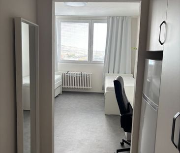 Pronájem bytu 1+kk • 24 m² bez realitkyHalasovo náměstí, Brno - Les... - Fotografie 5