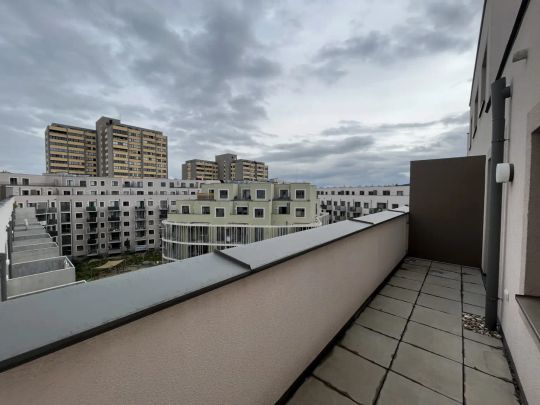 AKTION - Erster Monat Mietfrei! Tolle Ausstattung! 1-Zimmer-Wohnung mit Terrasse! - Foto 1