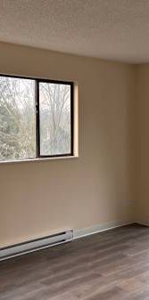 MARCH 2025 1-Bedroom Fully Renovated close to SkyTrain (Lougheed) - Photo 1