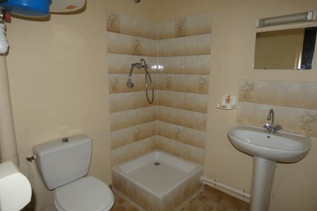 Location Appartement 1 pièce 26m² BEAUNE 21200 - Photo 4