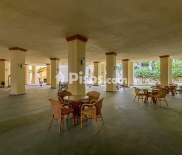 Piso en alquiler en Avenida de los Jardines de las Golondrinas - Photo 5