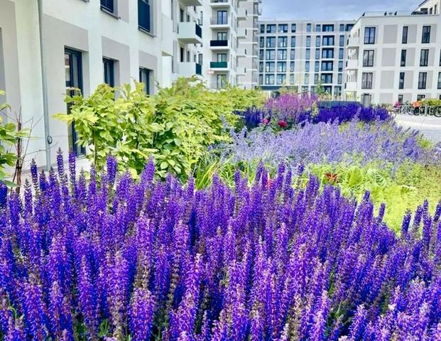 Nachmieter gesucht, Neubau, 1 Zimmer, Spandau Berlin, Mietwohnung - Foto 1