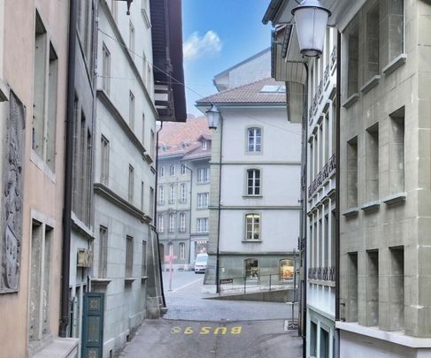 EXCLUSIVE FIRST RENTAL AFTER NUCLEAR RENOVATION - Photo 1