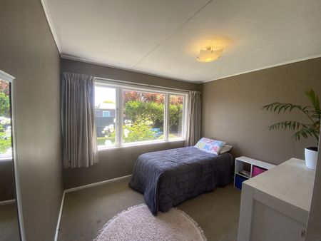 Copeland Road, Akina - Photo 3