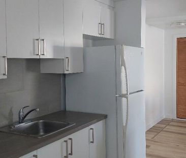 3 et demi Farnham. rénové, moderne, droit au chat, proche de tout ! - Photo 2