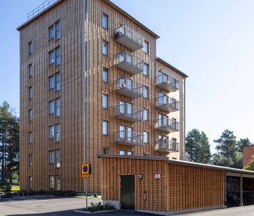 Gruvgatan, Skellefteå - Photo 4